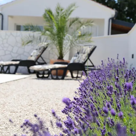 House Luca With Private Pool Casa de Férias Vrsi